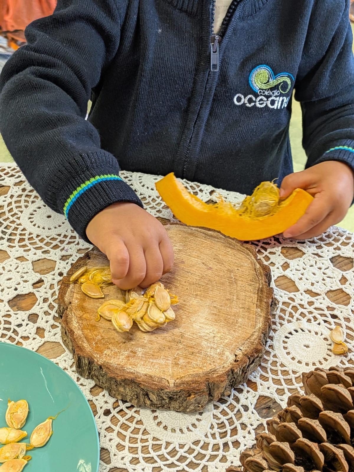 Criança a tirar as sementes de uma fatia de abóbora