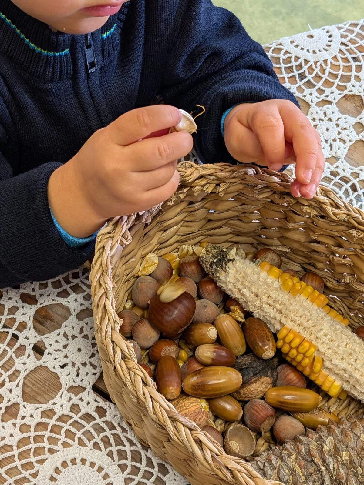 Criança a explorar um cesto com castanhas, bolotas, avelãs e uma maçaroca de milho