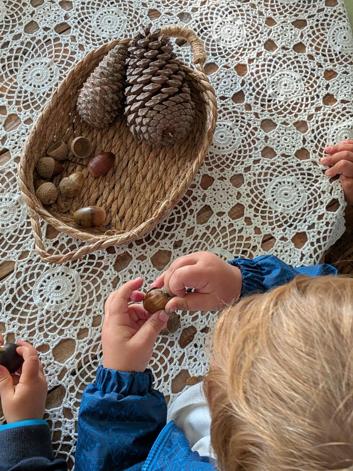 Crianças a segurar castanhas e bolotas junto a um cesto com pinhas